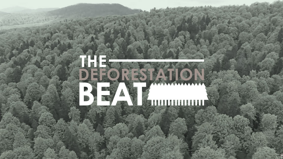 #TBT: Deforestation Beat Offered Romanians a Chance to Save Virgin Forests